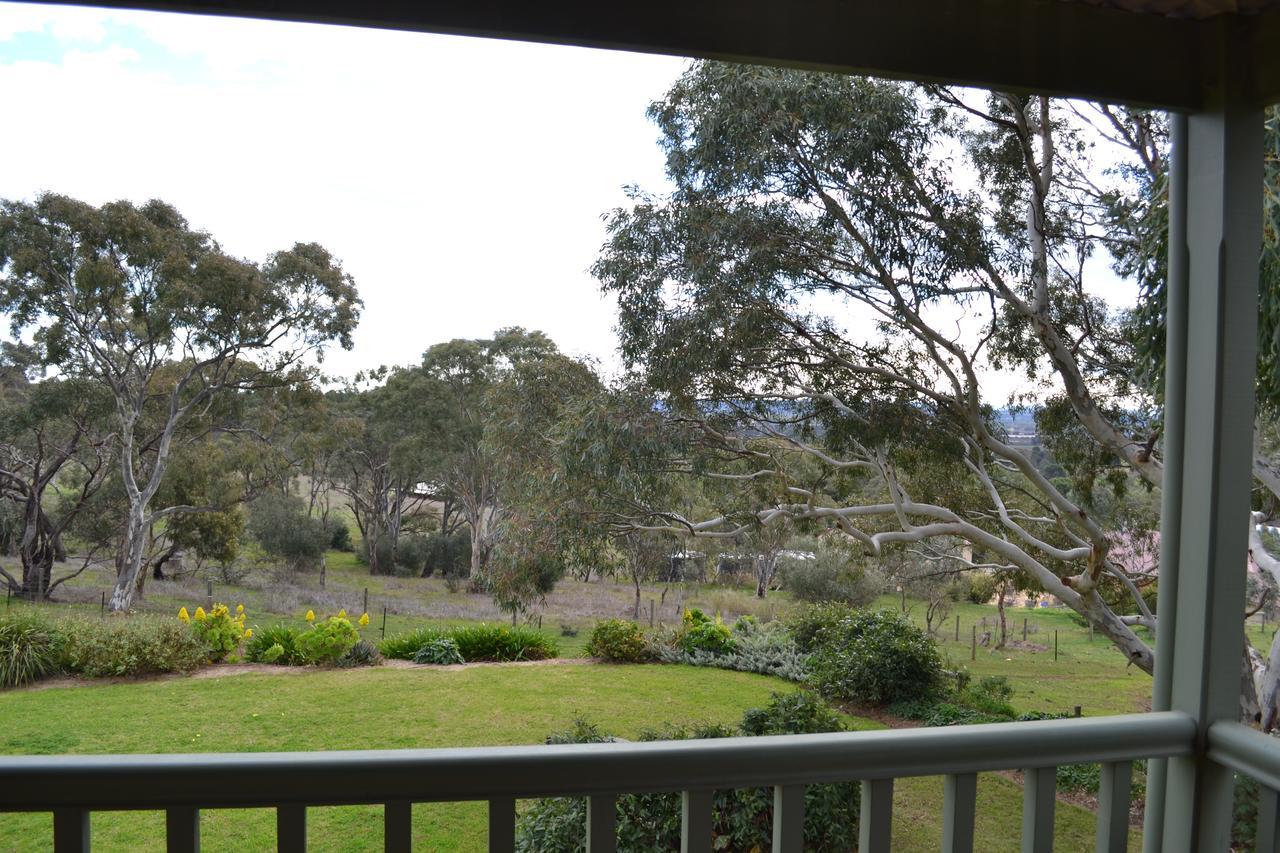 Angaston Saleyards Luxury Accommodation Exterior photo