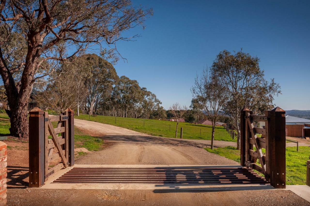 Angaston Saleyards Luxury Accommodation Exterior photo